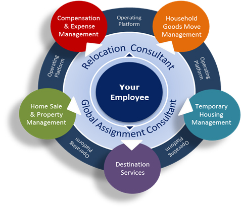 employee-chart